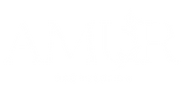 AMUR ACCESSORIES