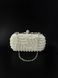 Removable short classic clutch strap, silver color