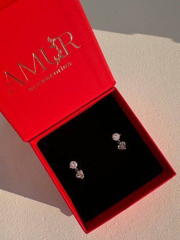 Shining earrings with 1 crystal, Steel